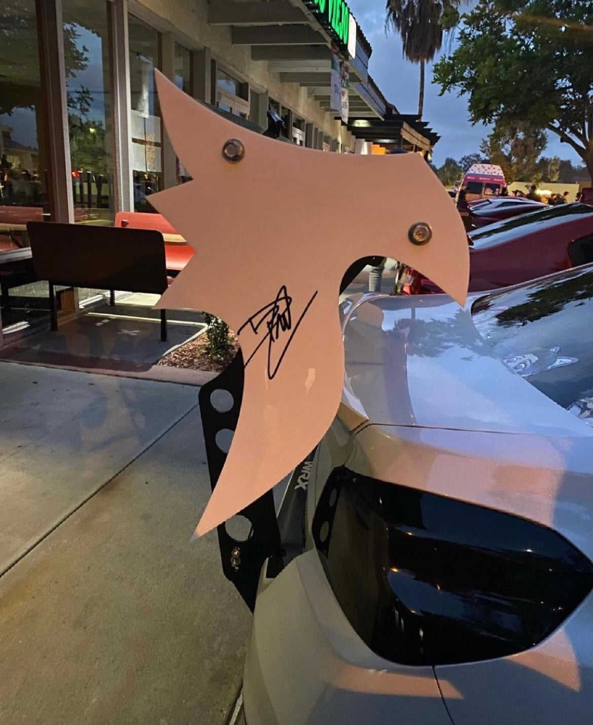 BATTLE WING ENDPLATES